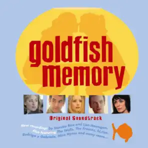 Goldfish Memory Philosophy