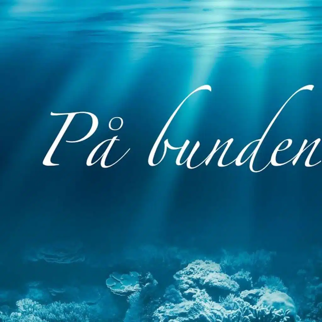 På bunden