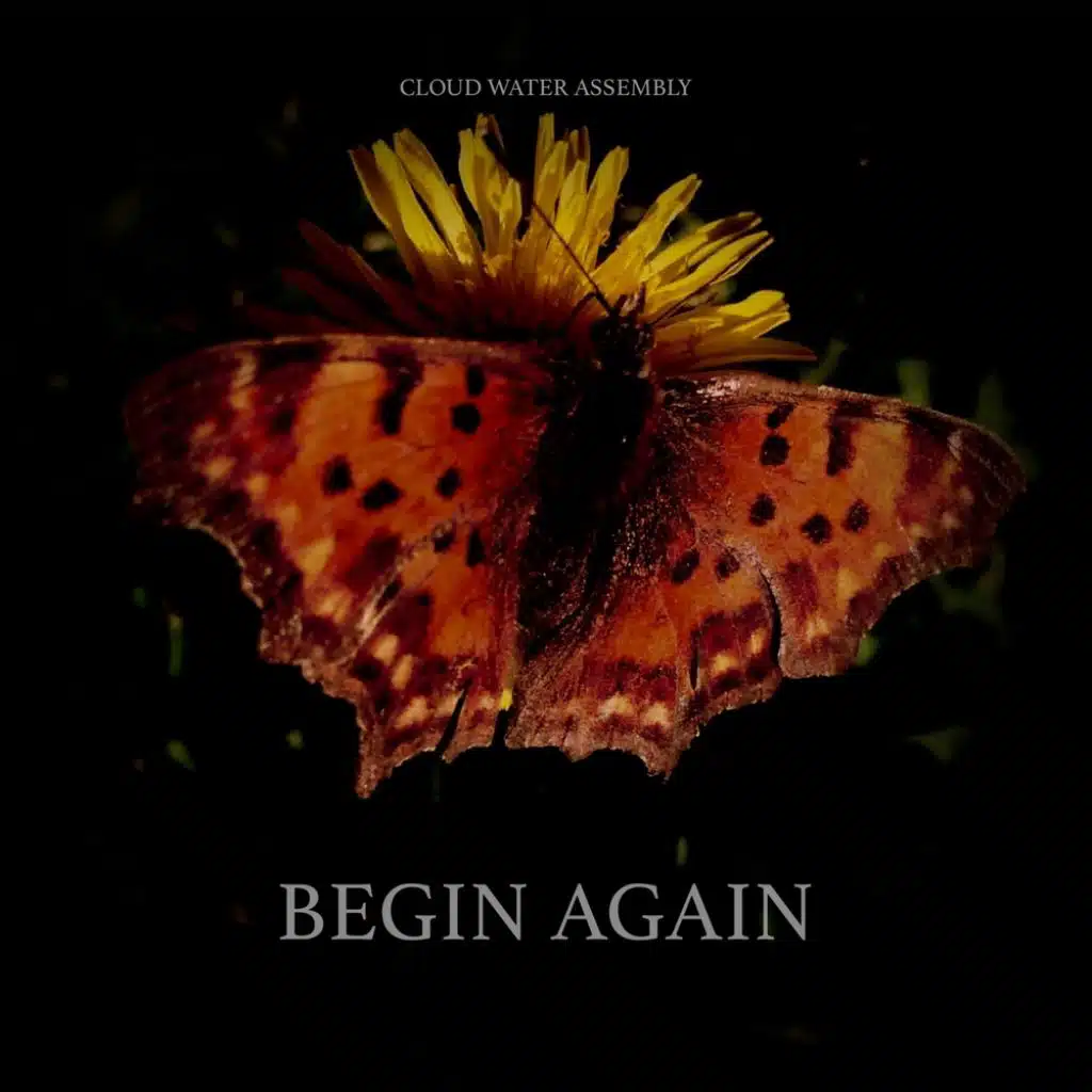 Begin Again
