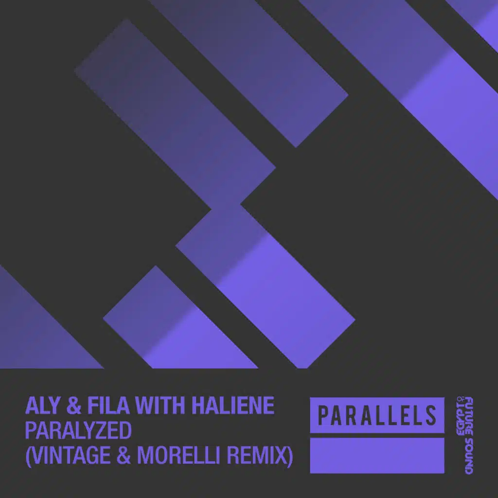Aly & Fila with HALIENE