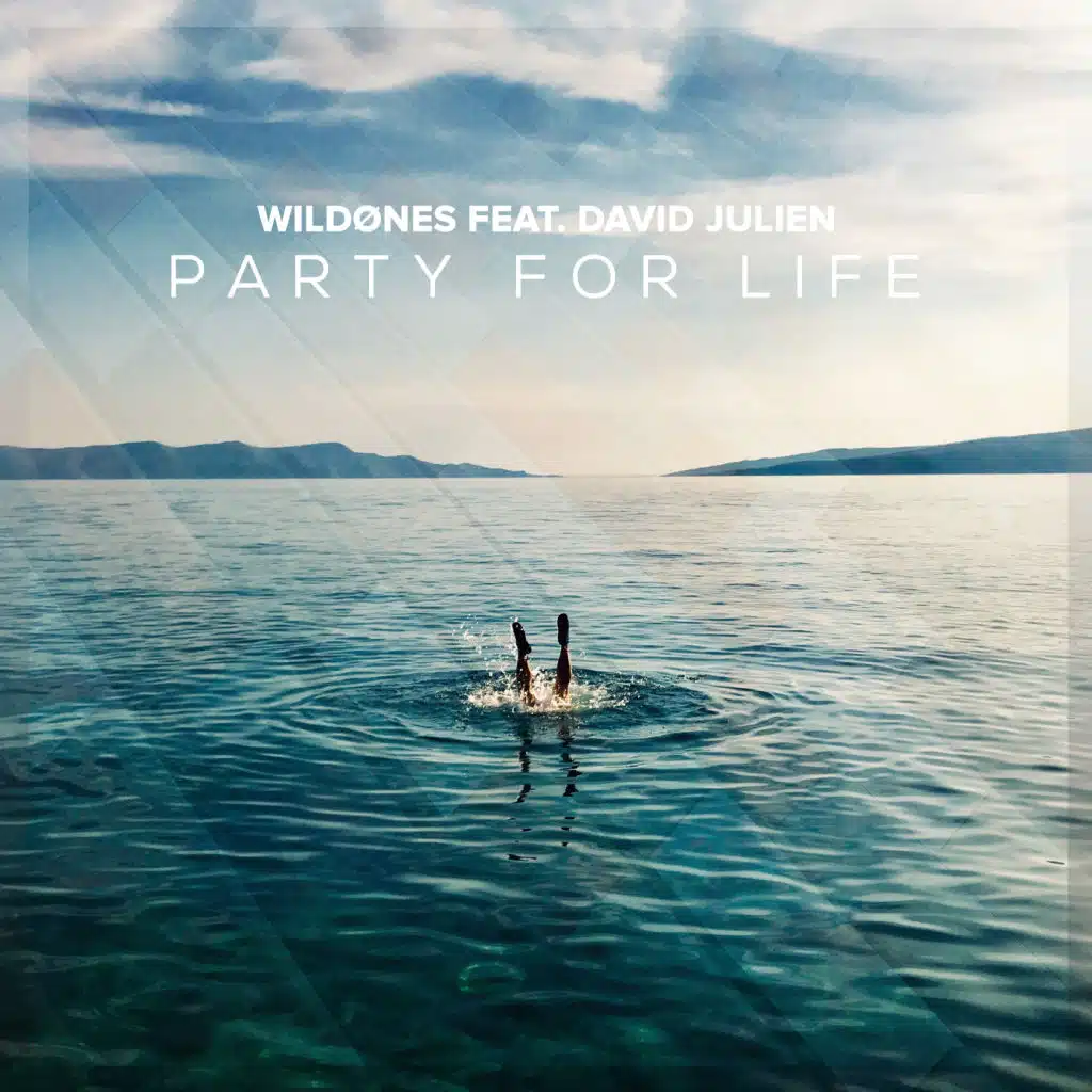 WildOnes feat. David Julien