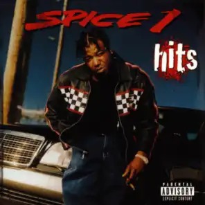 Best Of Spice 1