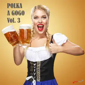 Polka a GoGo, Vol. 3