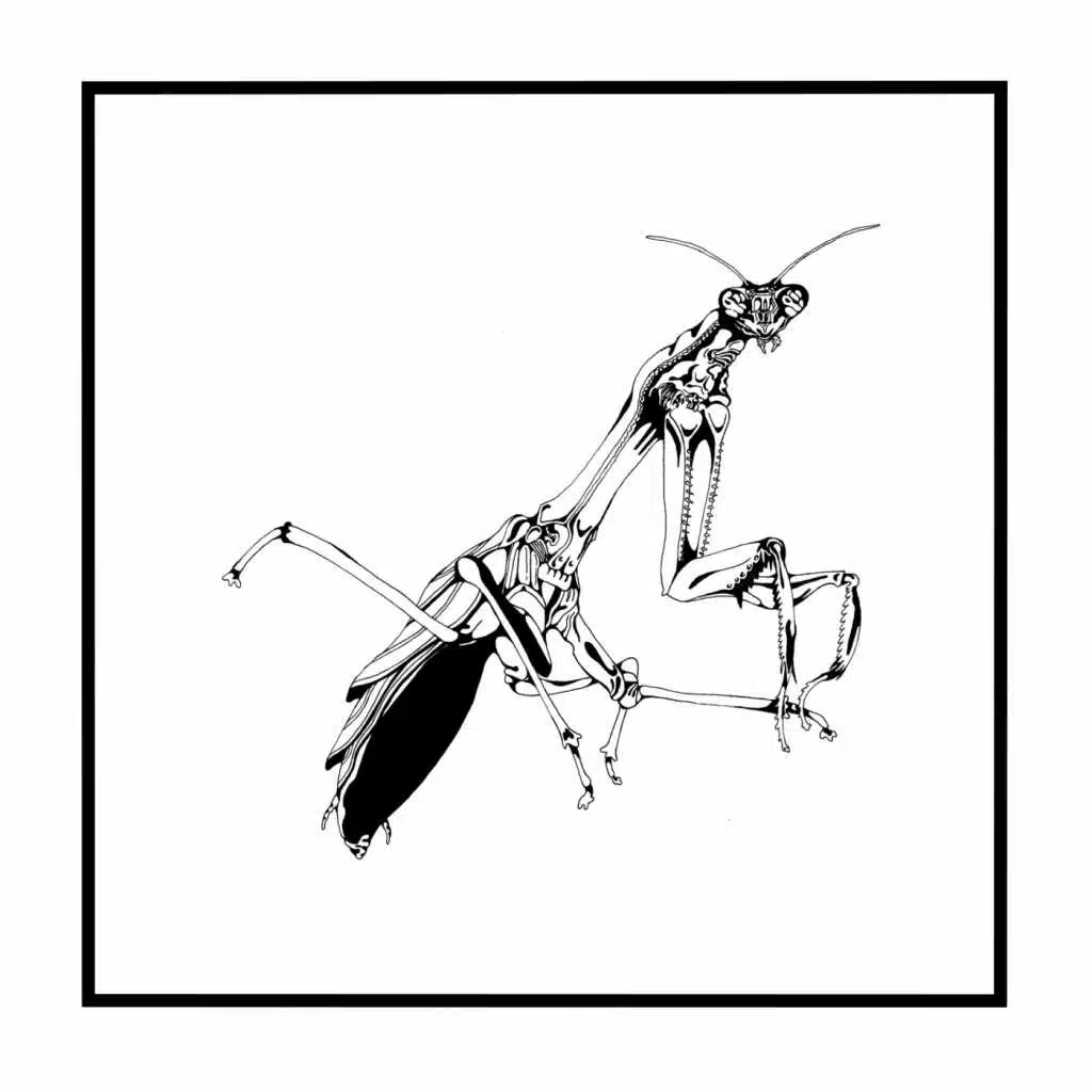 I Went to the Mall Yesterday and I Got Sick