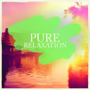 Pure Relaxation, Vol. 1 (Calm Electronic Tunes For Relaxation, Meditation and Chill)