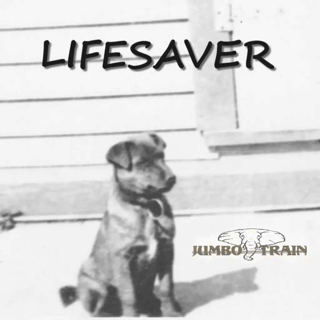 Lifesaver