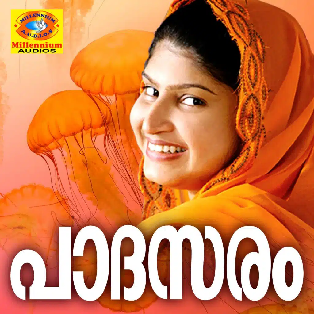 Kannaaram Pothikalichum