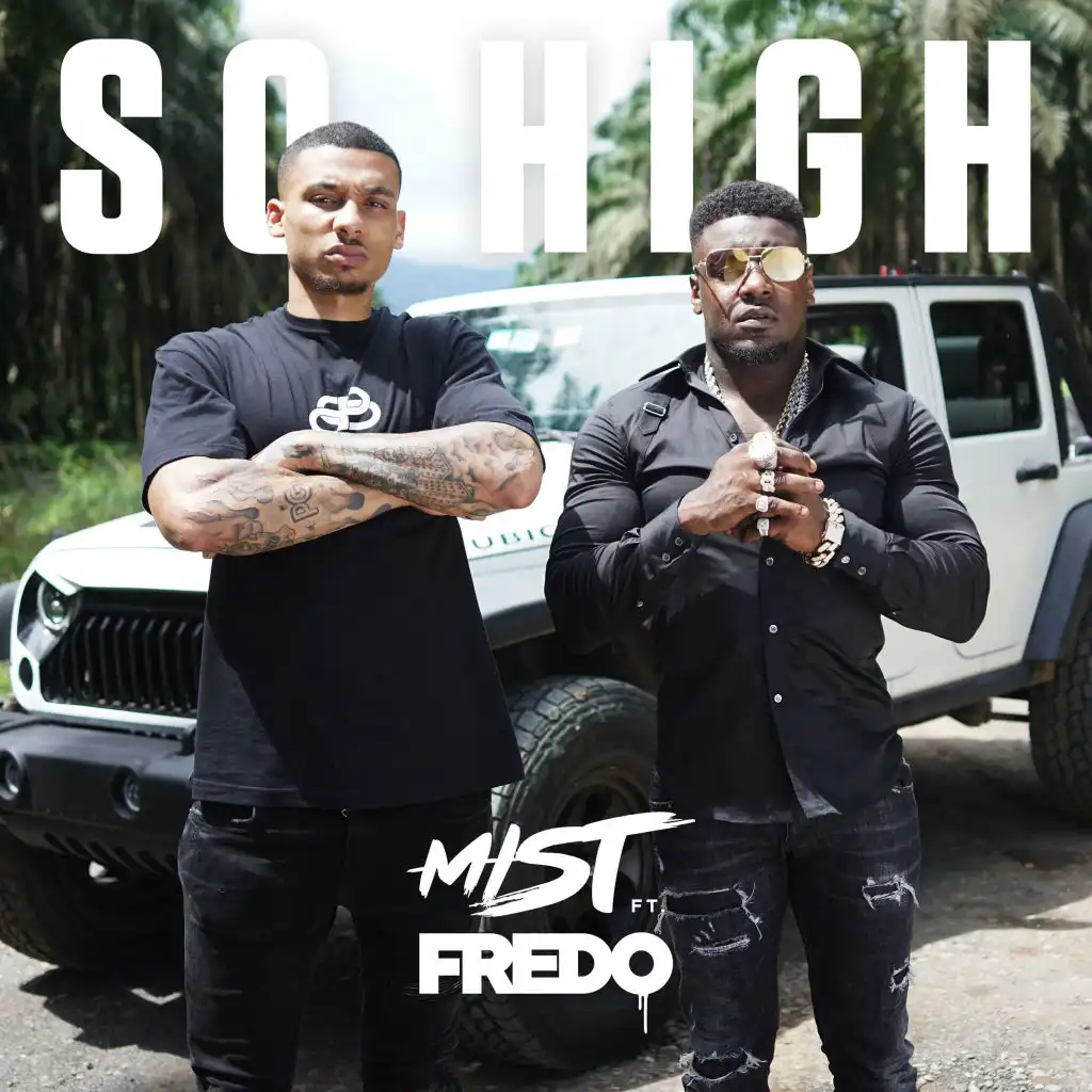 So High (feat. Fredo) [Dopebwoy Remix]