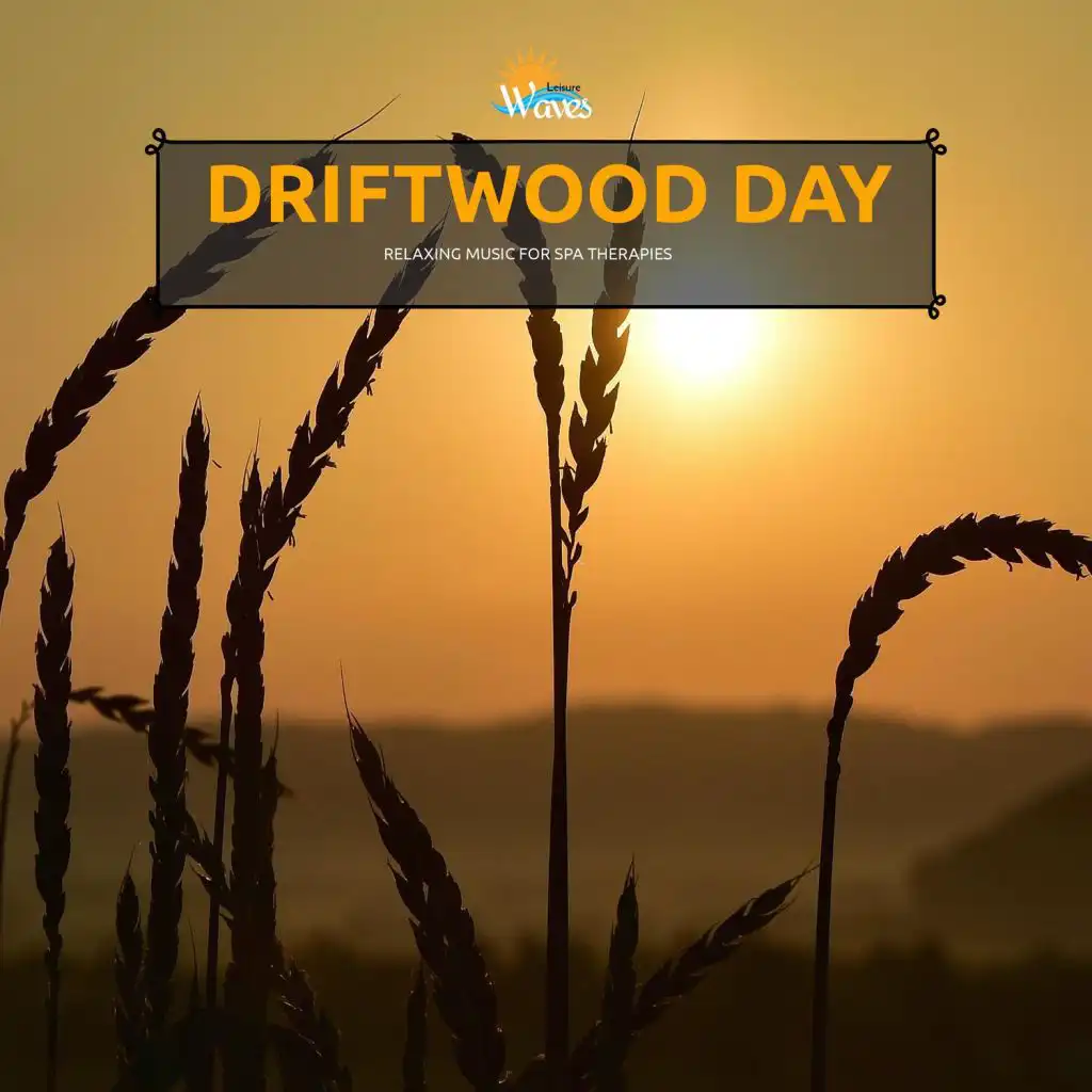 Driftwood Day - Relaxing Music for Spa Therapies