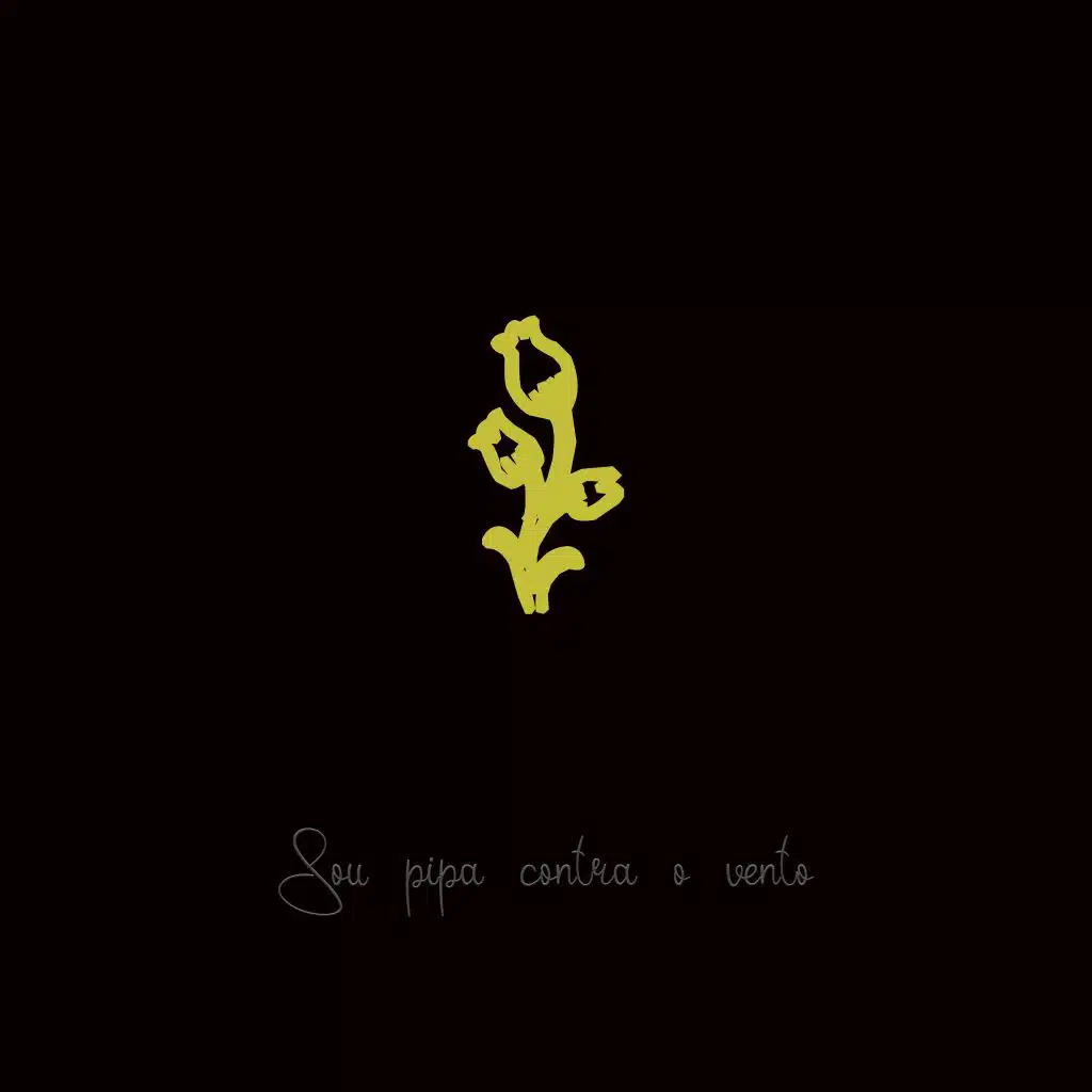 Sou Pipa Contra o Vento