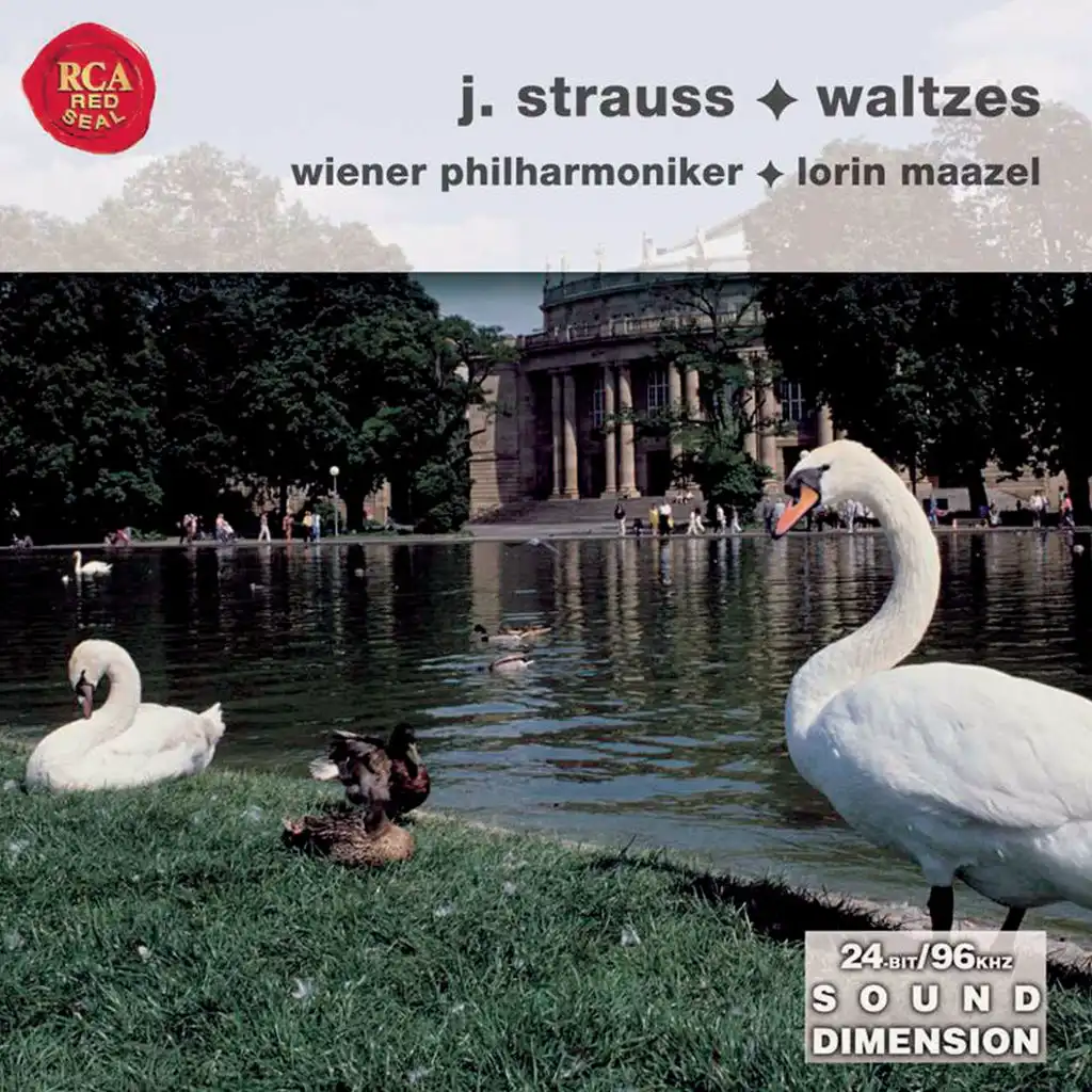 Geschichten aus dem Wiener Wald, Op. 325 (Live)