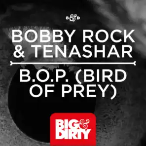Bobby Rock & Tenashar