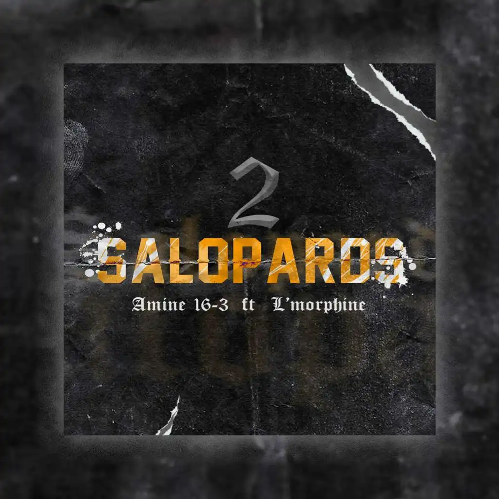 2 Salopards (feat. L'morphine)