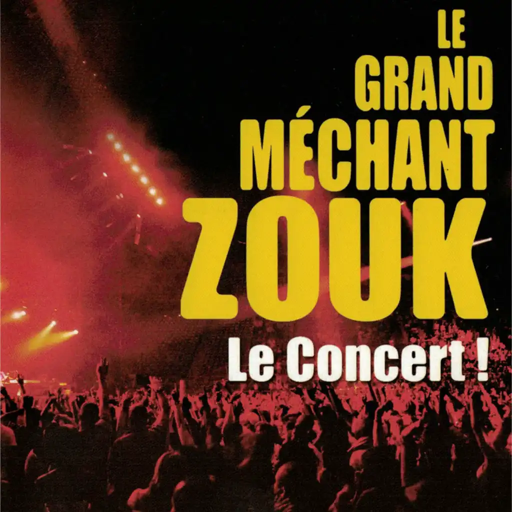 Le Grand Méchant Zouk: Le concert