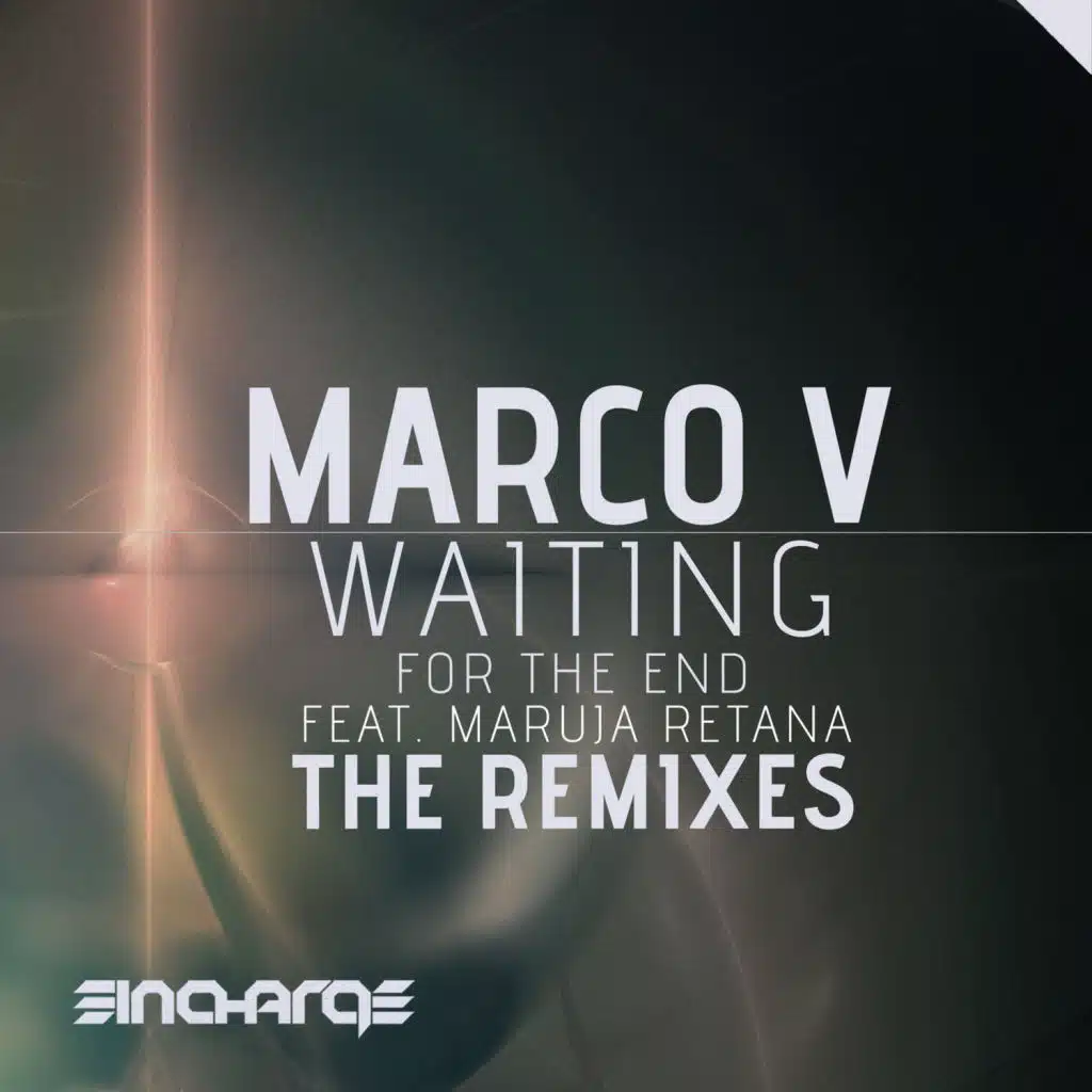 Waiting (For The End) (The Remixes)