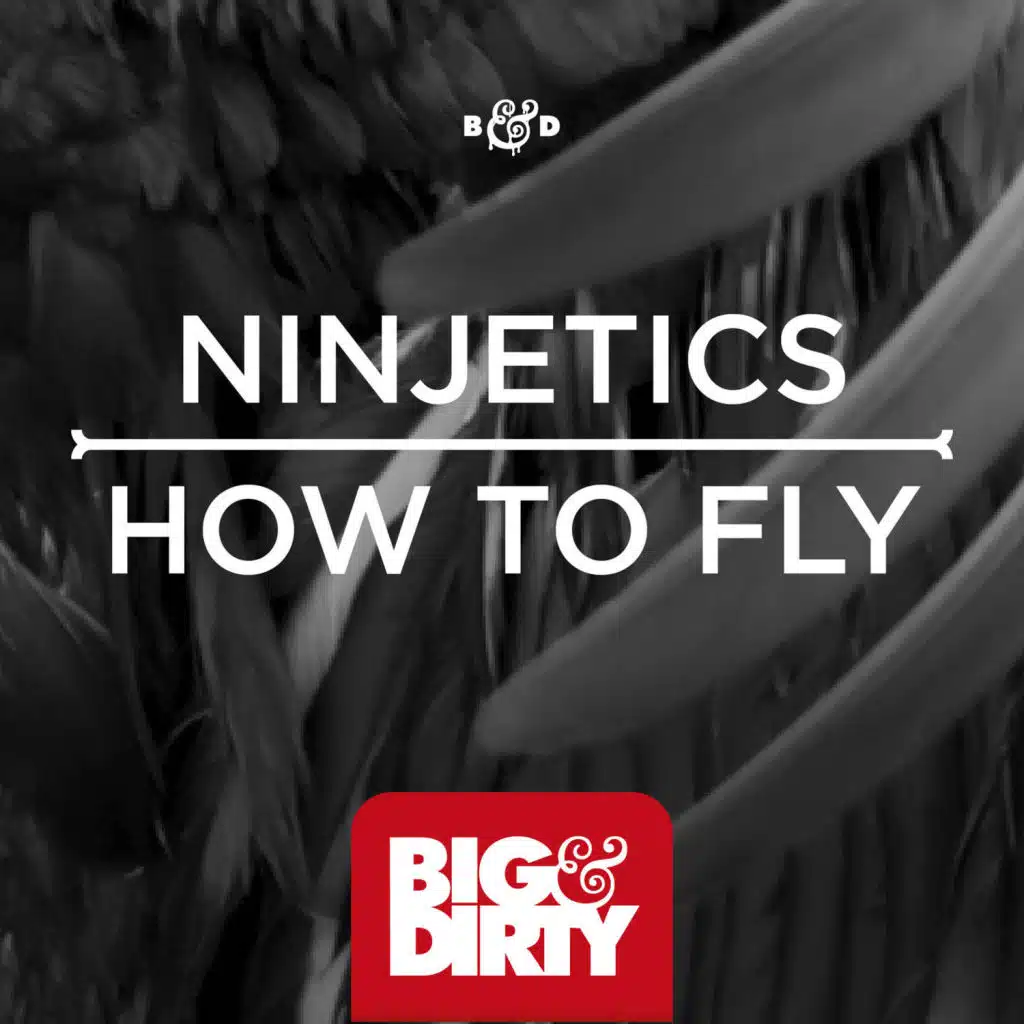 How To Fly (Radio Mix)