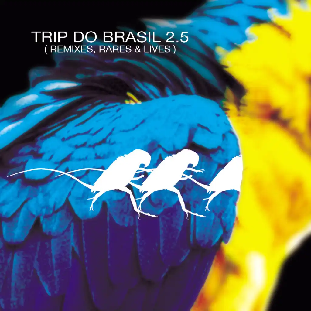 Trip Do Brasil 2.5 - Remixes, Rares & Lives