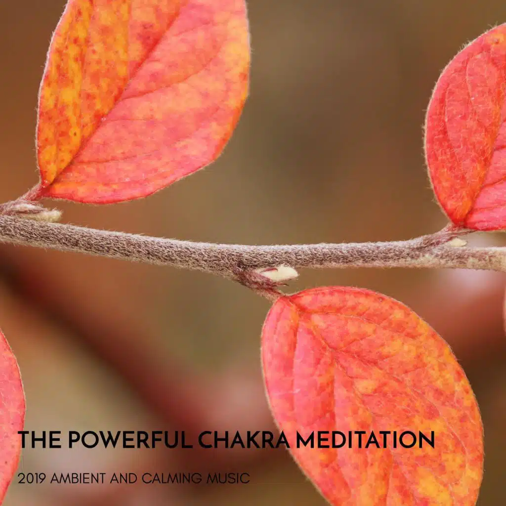 The Powerful Chakra Meditation - 2019 Ambient and Calming Music