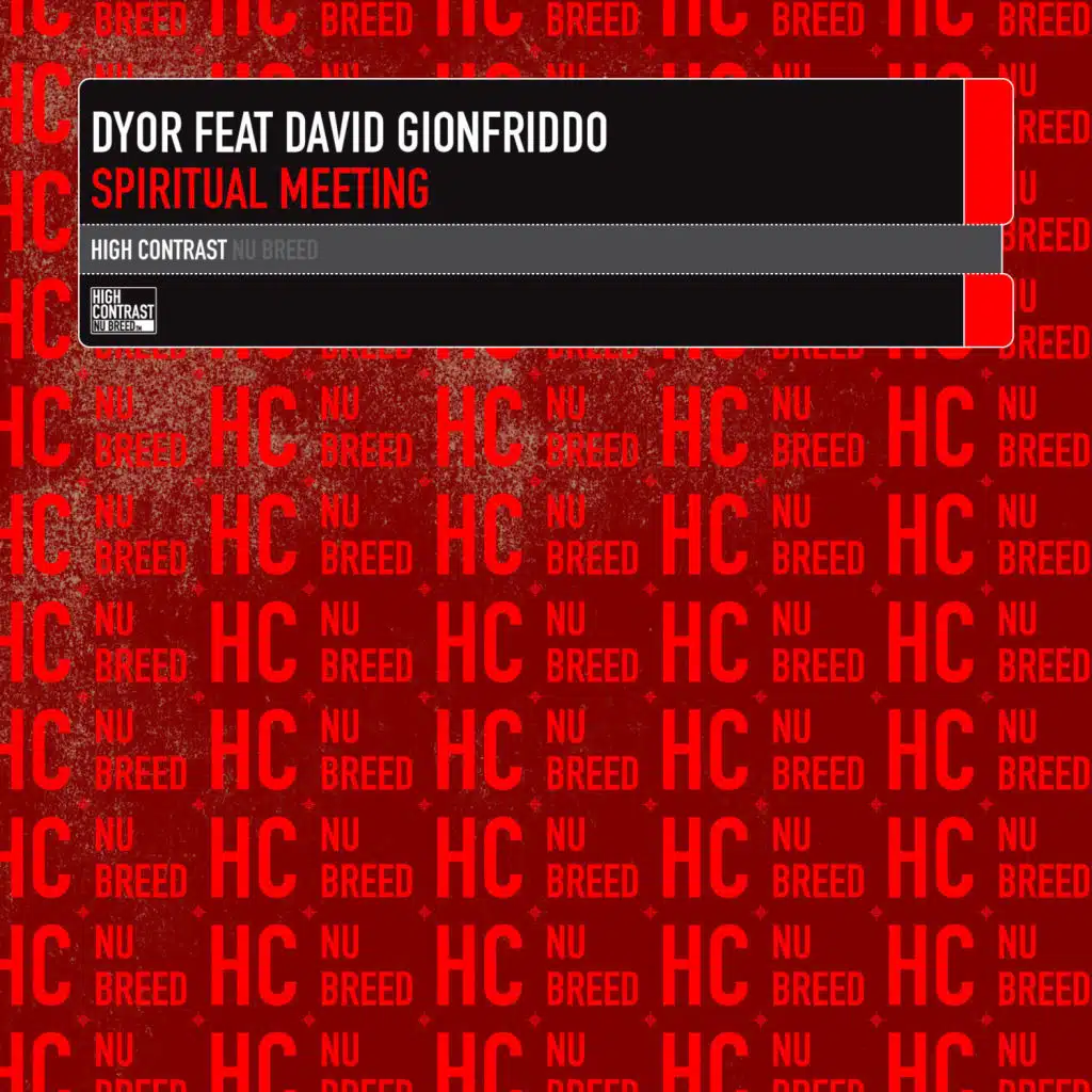 Spiritual Meeting (Original Vox Mix) [feat. David Gionfriddo]
