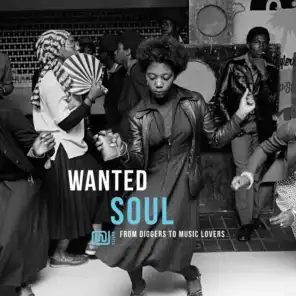 Wanted Soul: From Diggers to Music Lovers