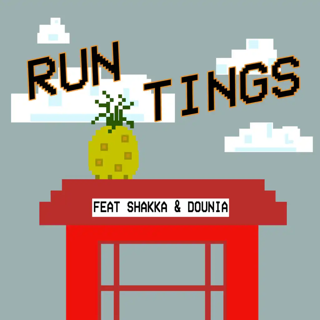 Run Tings (feat. Dounia)