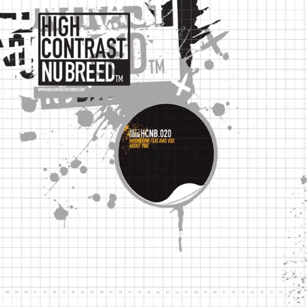 About You (Terry Ferminal Remix) [feat. Avis Vox]