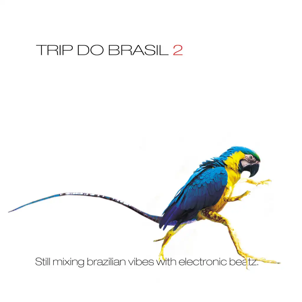 Trip Do Brasil 2 - Still Mixing Brazilian Vibes With Electronic Beatz