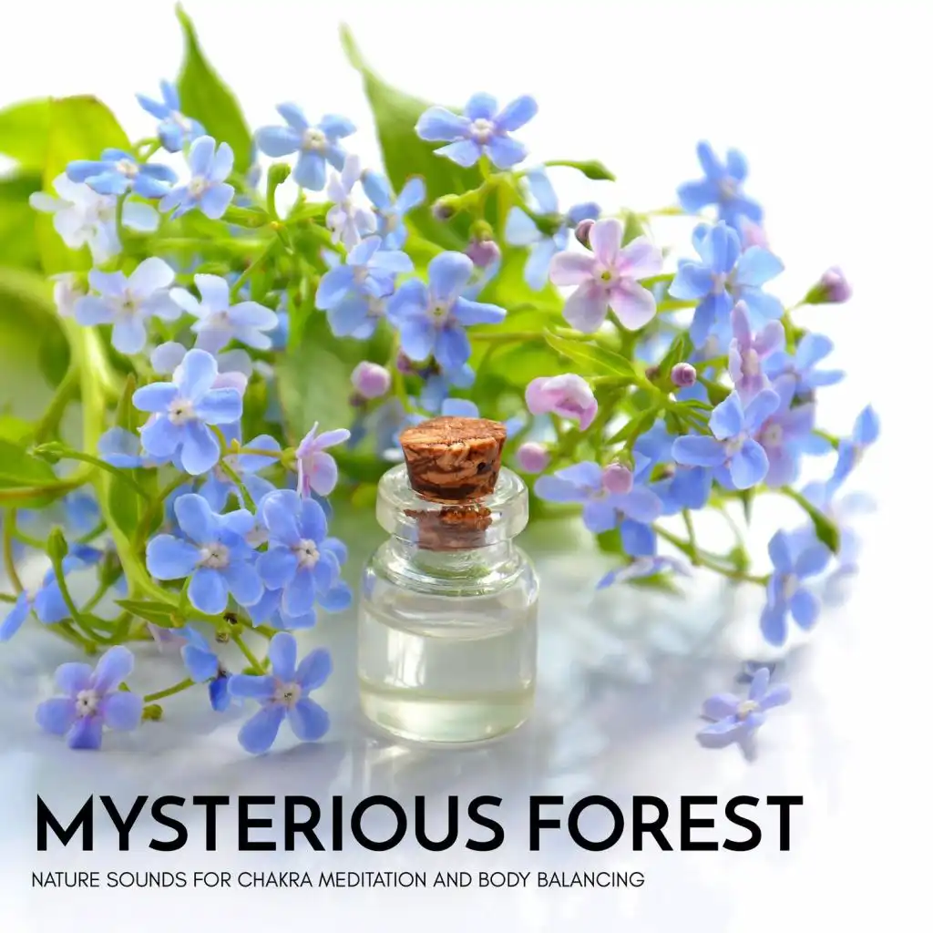 Mysterious Forest - Nature Sounds for Chakra Meditation and Body Balancing