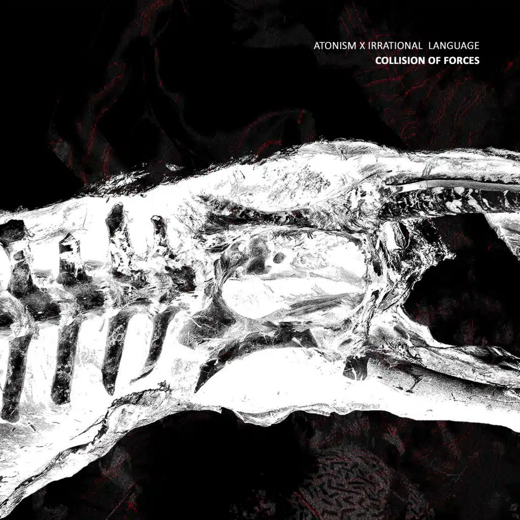 Ancient Creatures (Irrational Language Remix)
