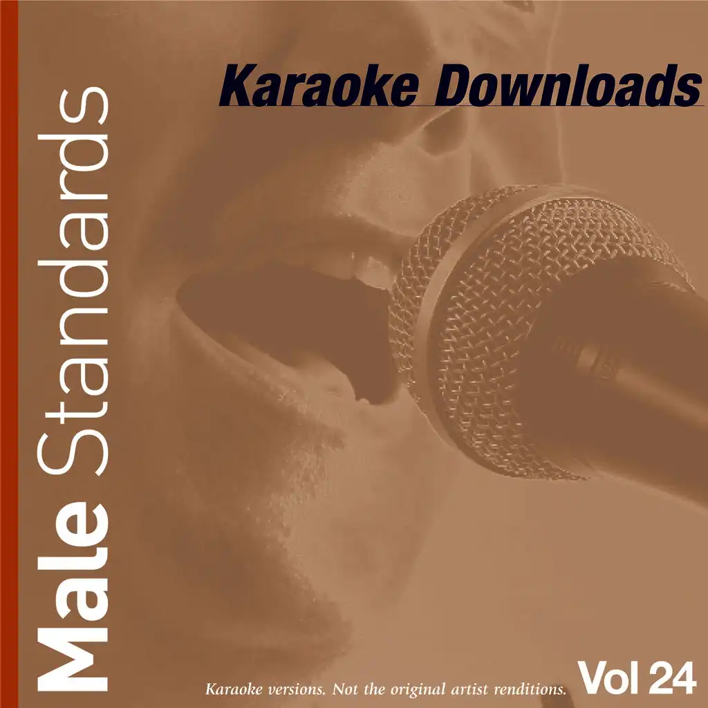 Karaoke Downloads - Male Standards Vol.24