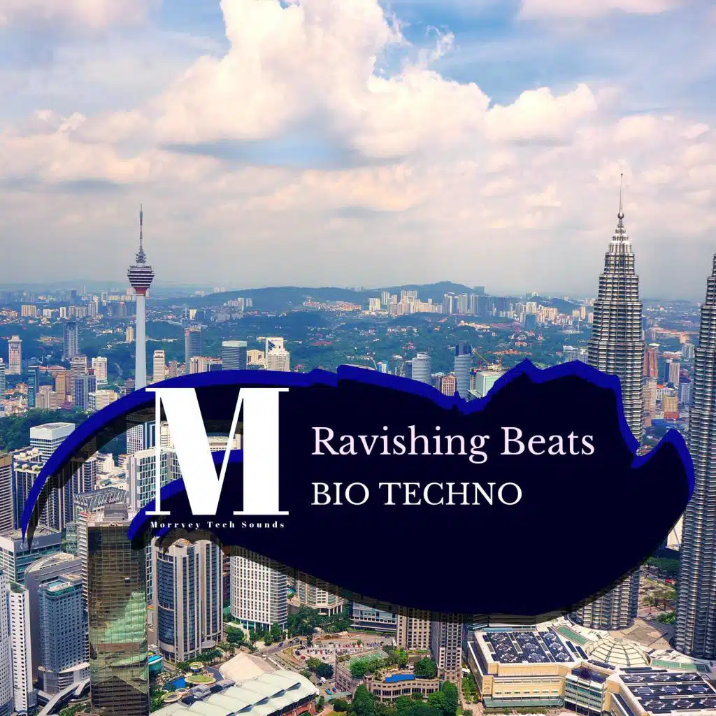 Ravishing Beats