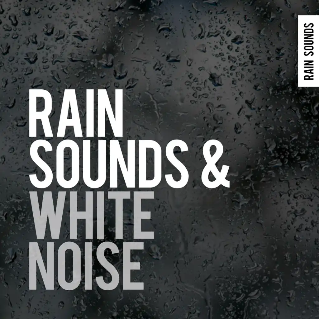 Rain Sounds & White Noise