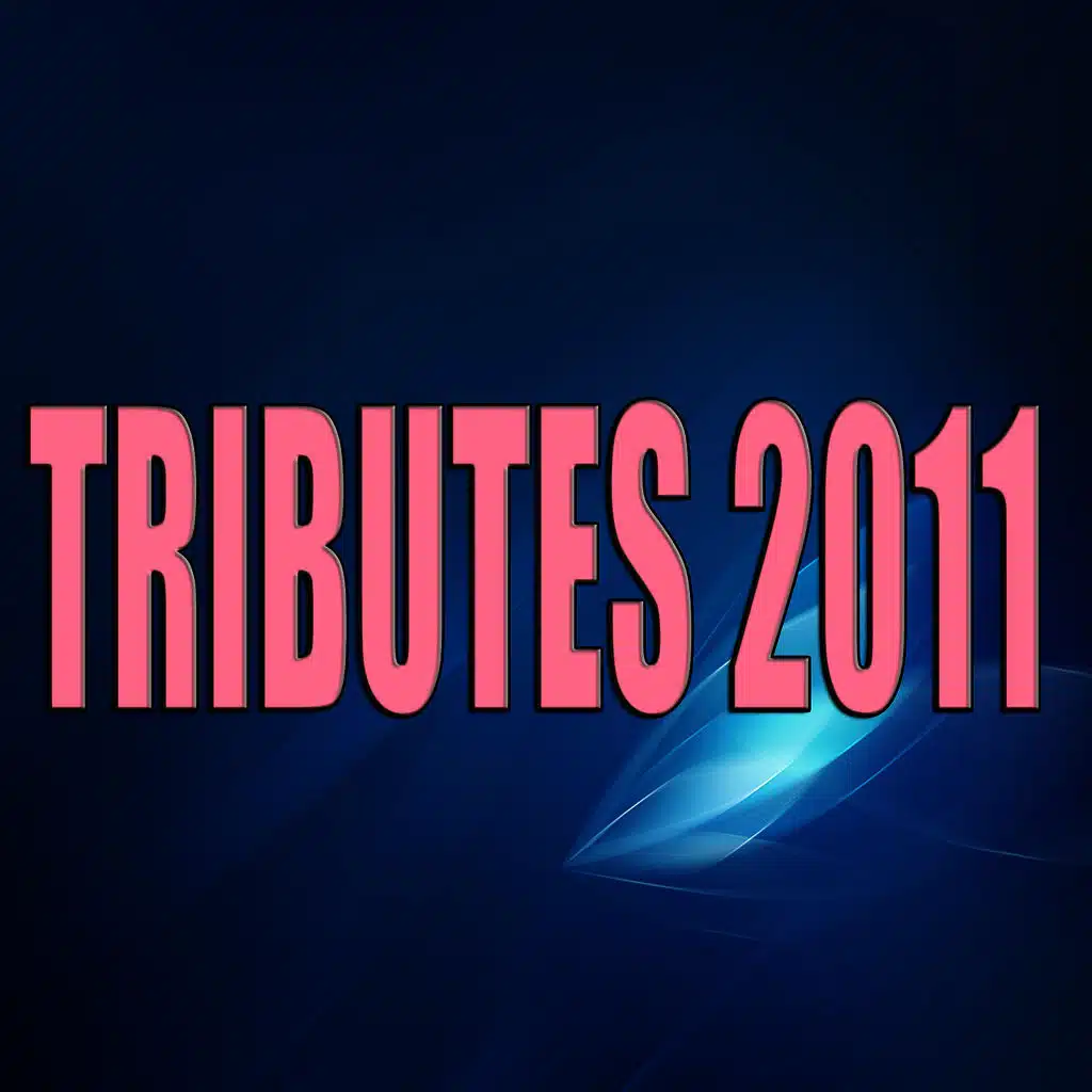 Tributes 2011 (Lady Gaga - Katy Perry - David Guetta - Pitbull - Glee Cast - Don Omar - Daddy Yankee - Adele and others)