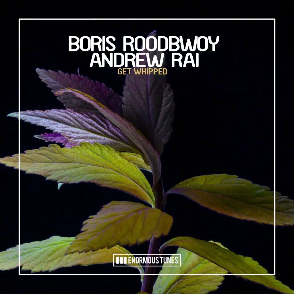 Boris Roodbwoy & Andrew Rai