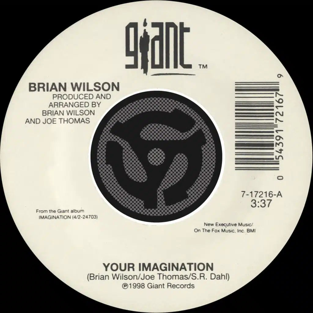 Your Imagination (A Cappella) [45 Version] (A Cappella; 45 Version)
