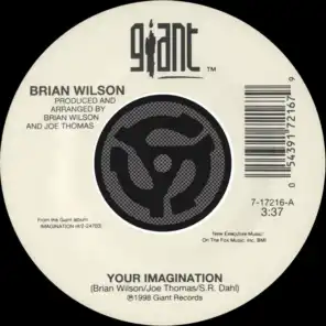 Your Imagination / Your Imagination (A Cappella) [45 Version]