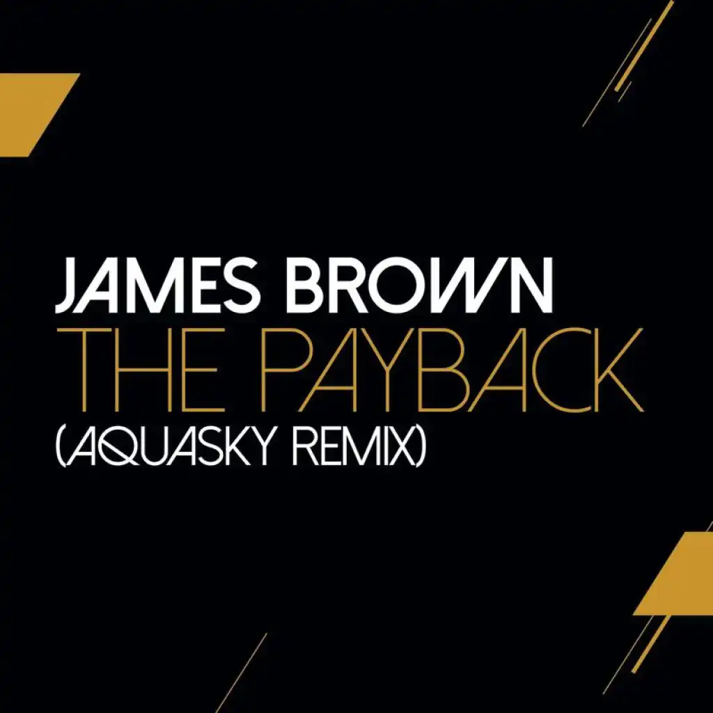 The Payback (Aquasky Remix)