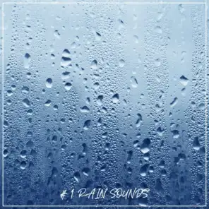# 1 Rain Sounds