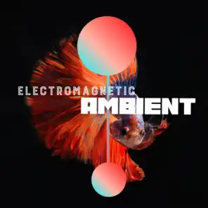 Electromagnetic Ambient