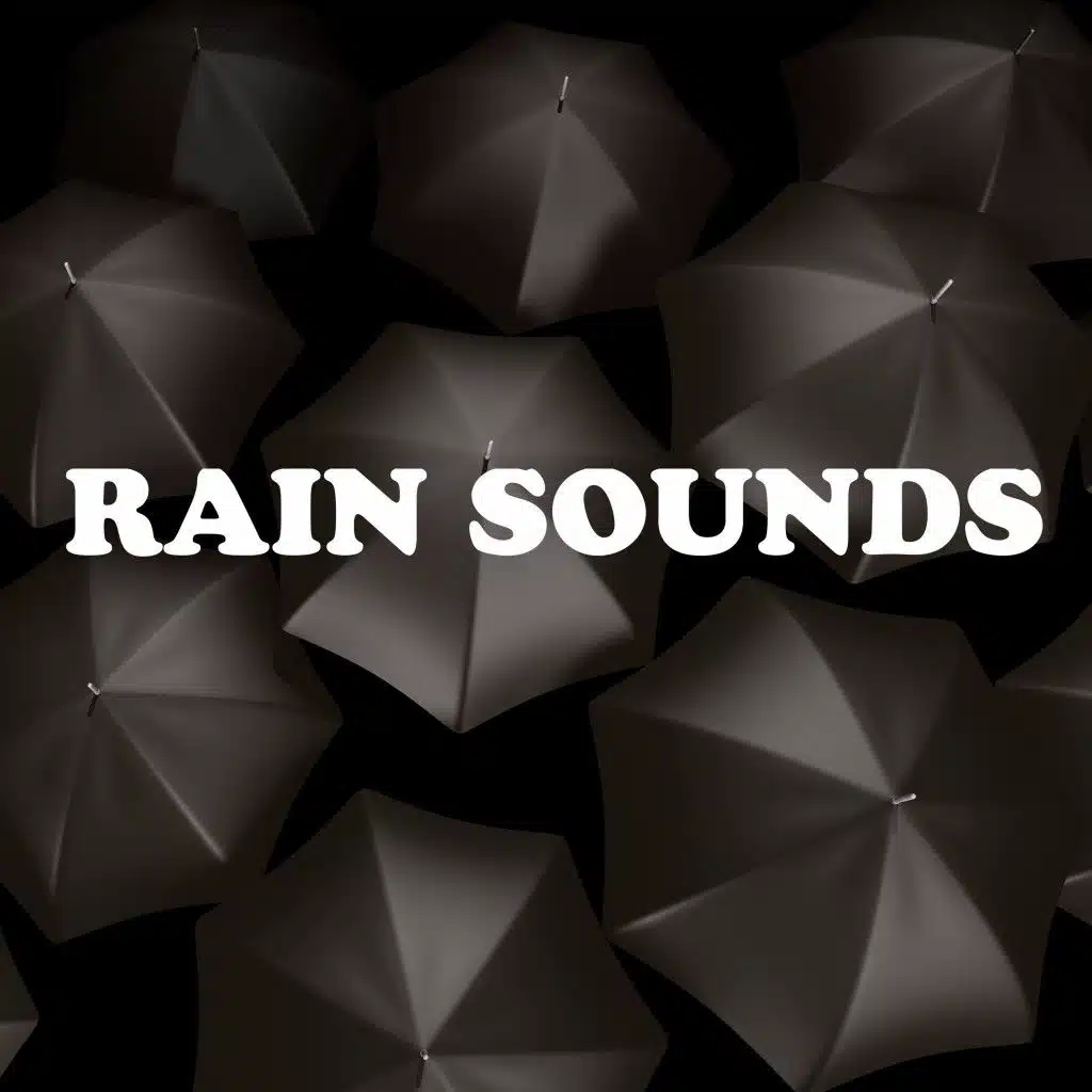 Rain Sounds - Meditate