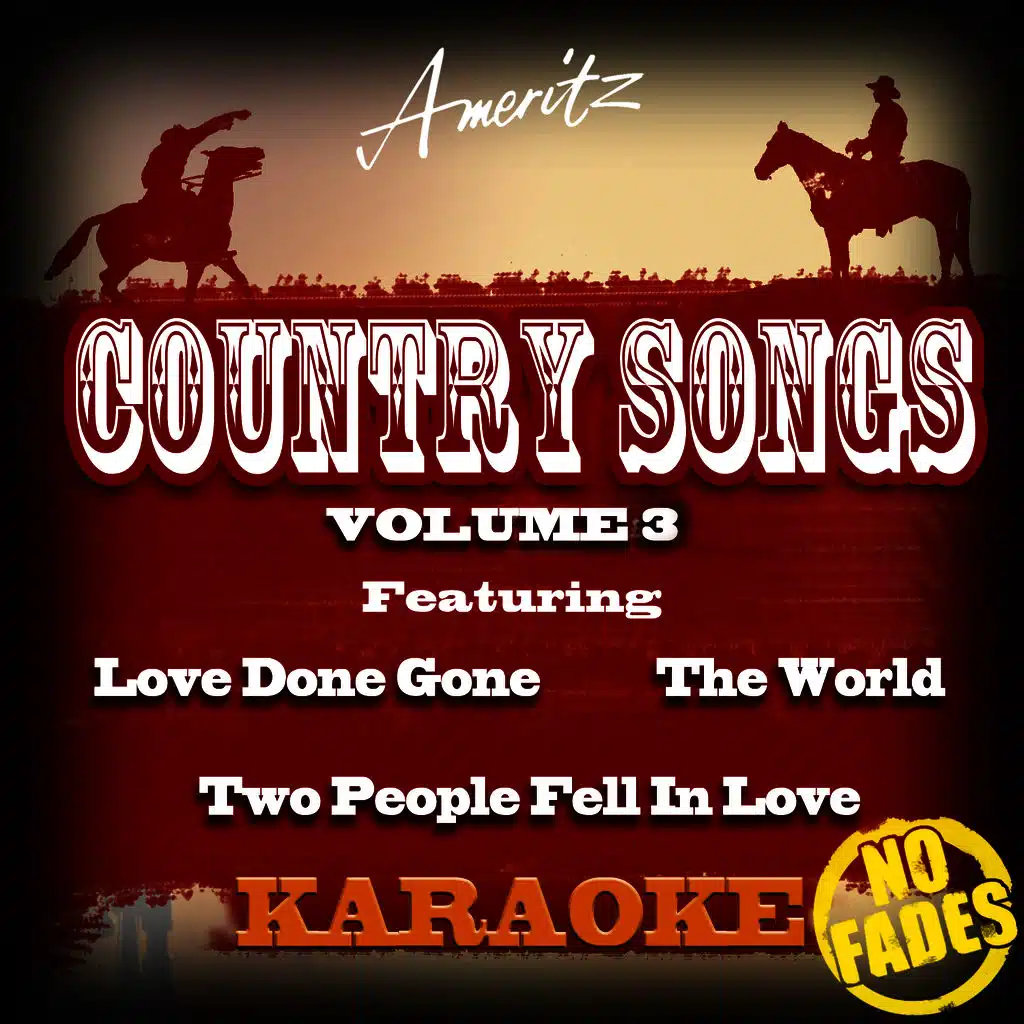 Karaoke - Country Songs Vol. 3