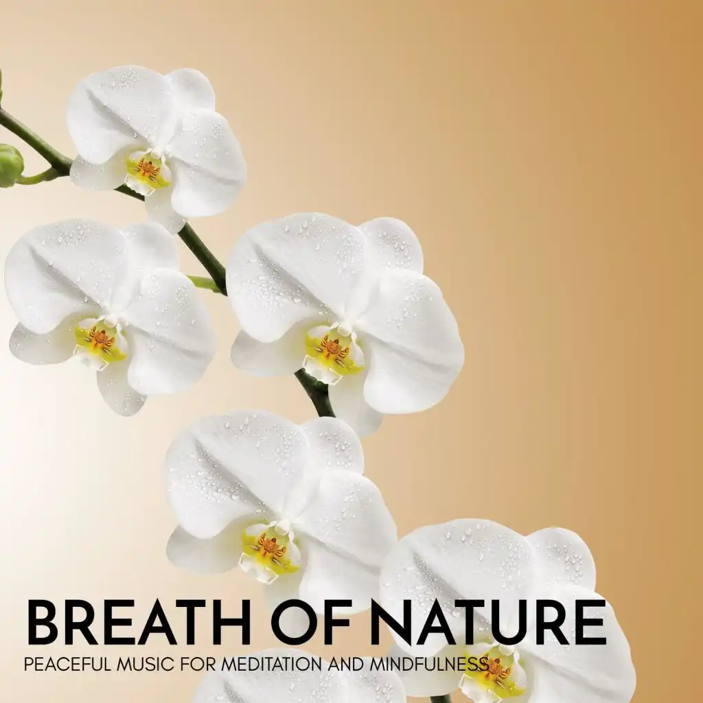 Breath of Nature - Peaceful Music for Meditation and Mindfulness