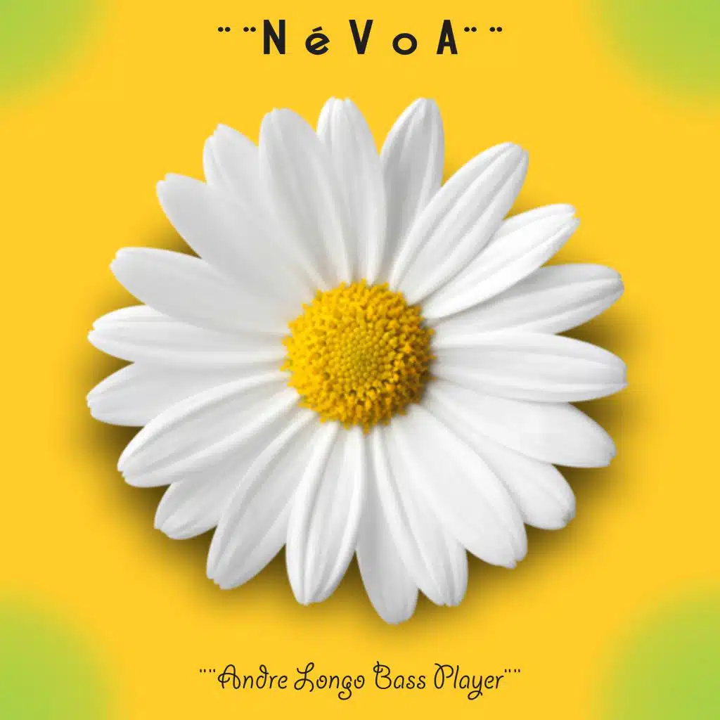 Névoa