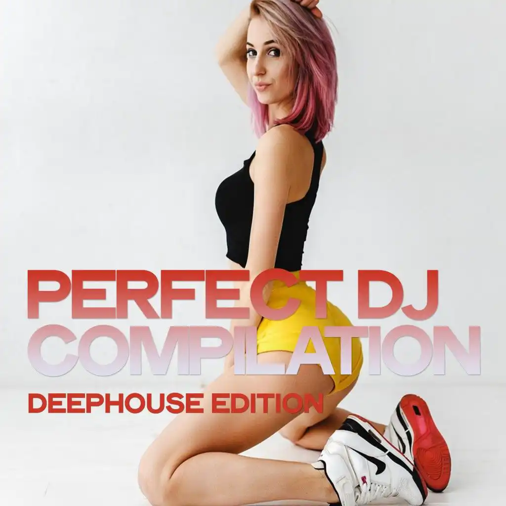 Perfect DJ Compilation (Deephouse Edition)