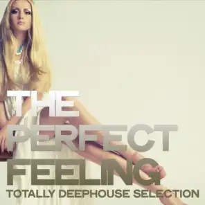 The Perfect Feeling (Totally Deephouse Selection)