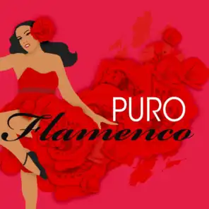 Puro Flamenco
