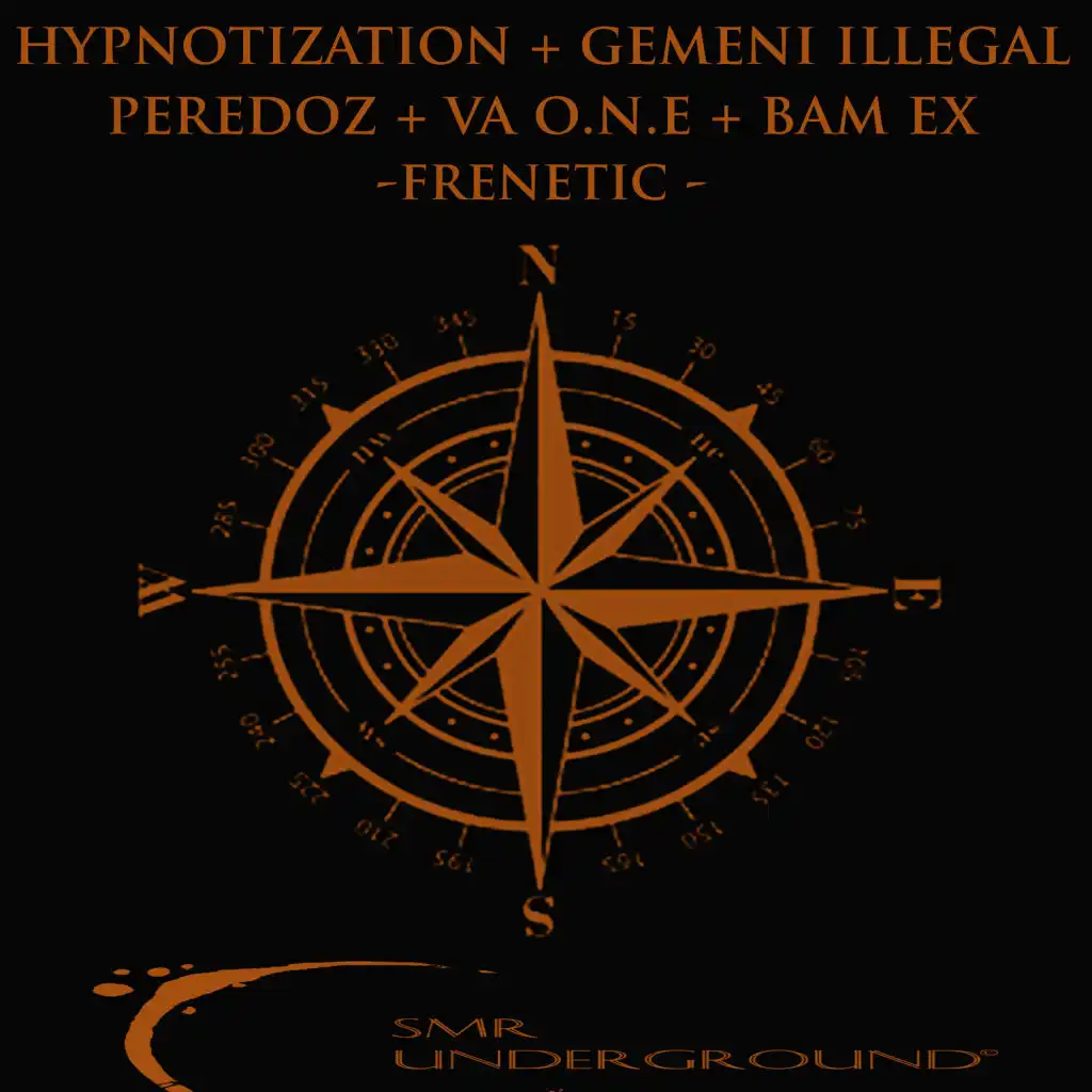 Frenetic (Gemeni Illegal Remix)
