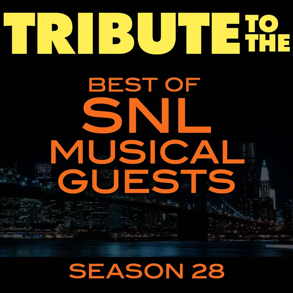 Tribute to the Best of SNL Musical Guests Season 28