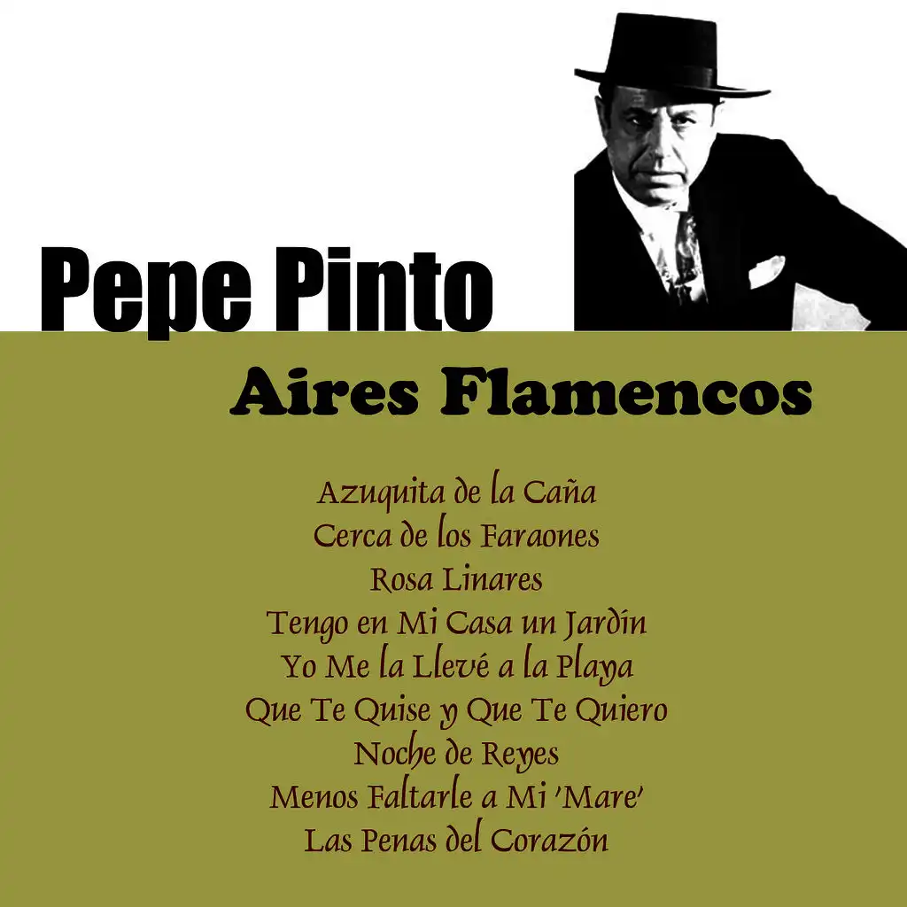 Aires Flamencos