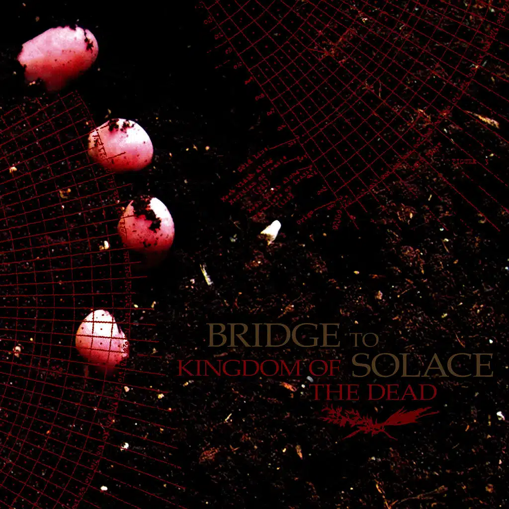 Kingdom of the Dead